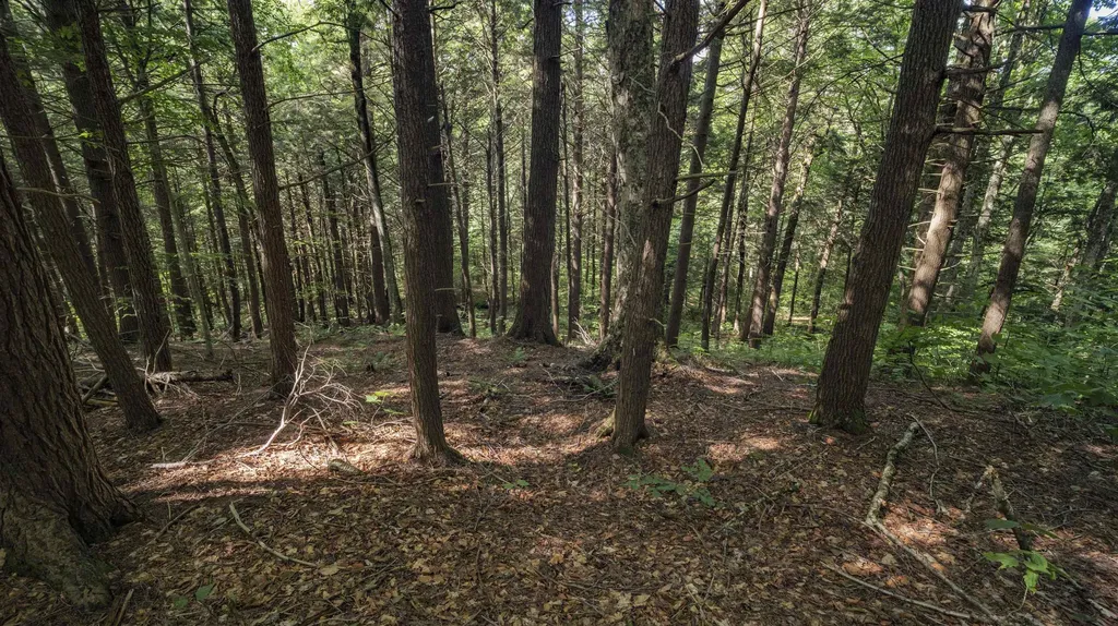 00 Ryder Pond Road Whitingham VT 05361