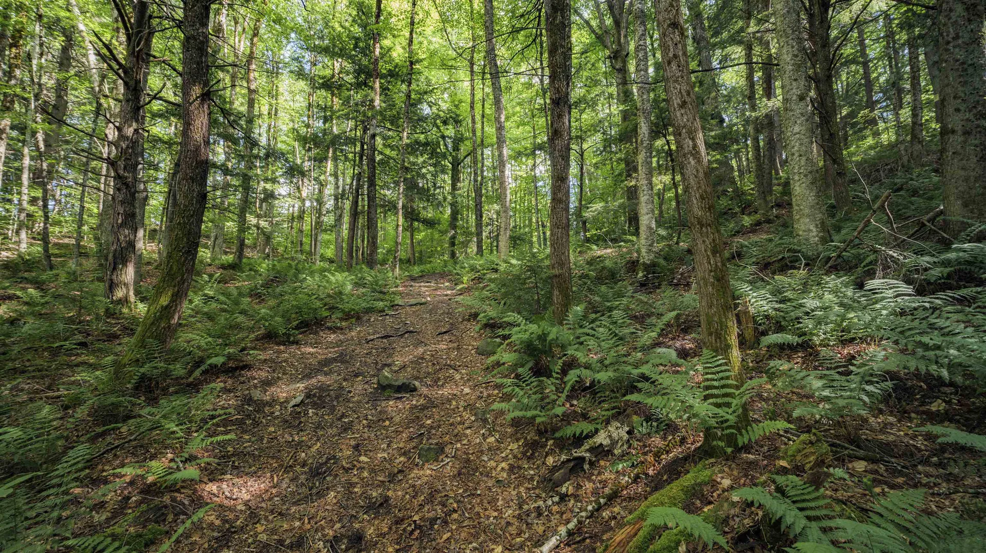 00 Ryder Pond Road Whitingham VT 05361