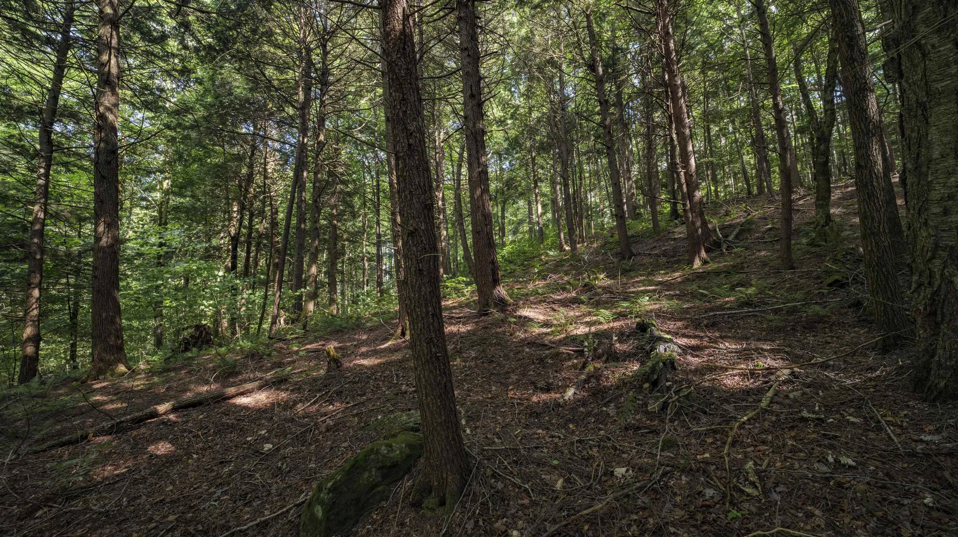 00 Ryder Pond Road Whitingham VT 05361