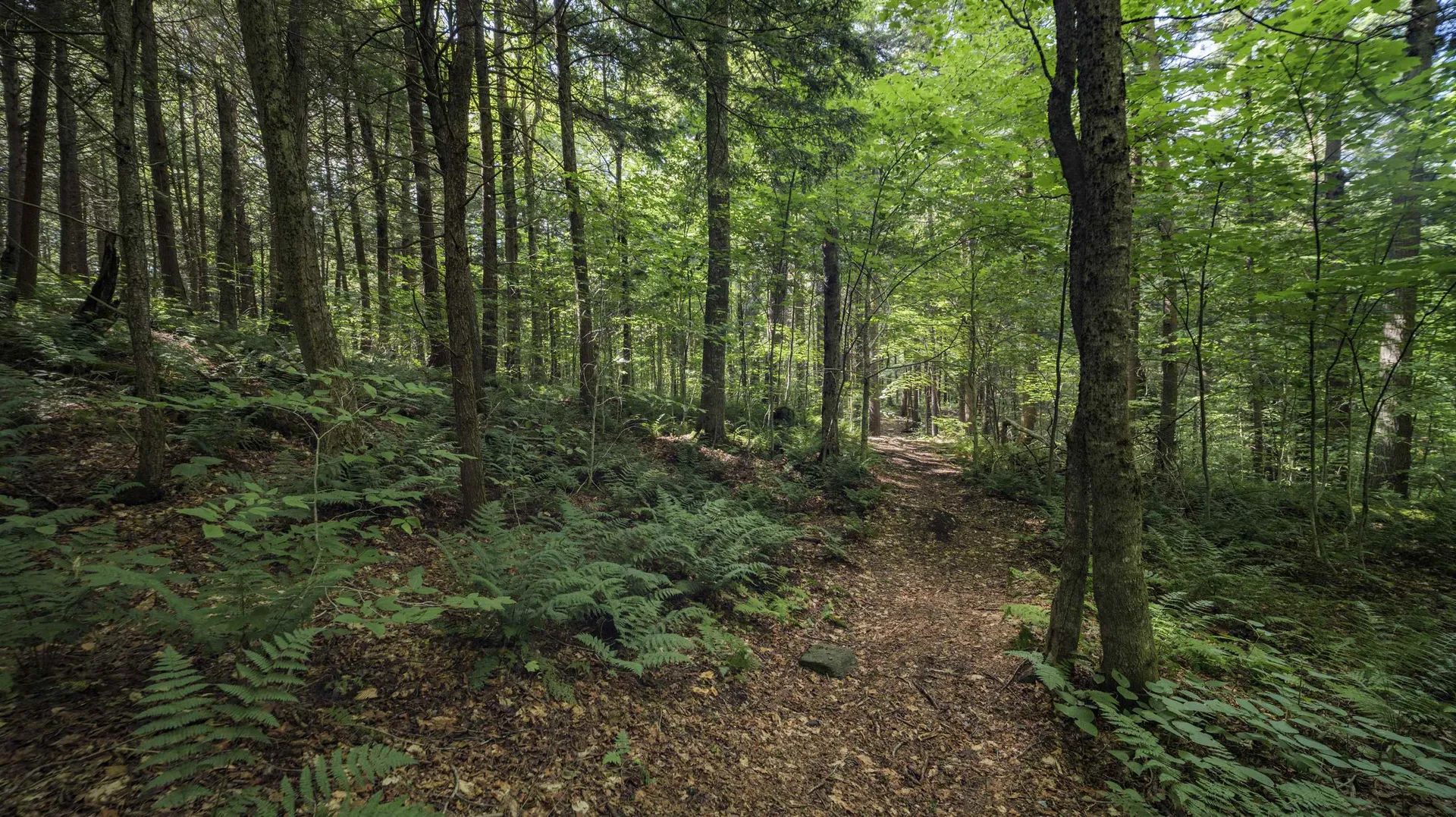 00 Ryder Pond Road Whitingham VT 05361