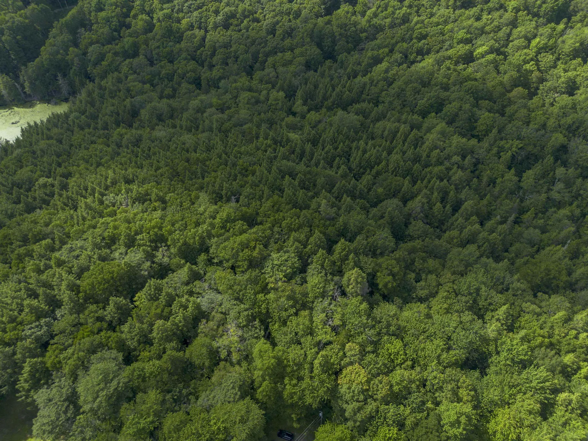 00 Ryder Pond Road Whitingham VT 05361