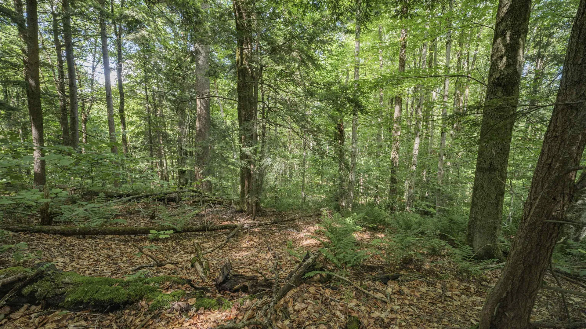 00 Ryder Pond Road Whitingham VT 05361
