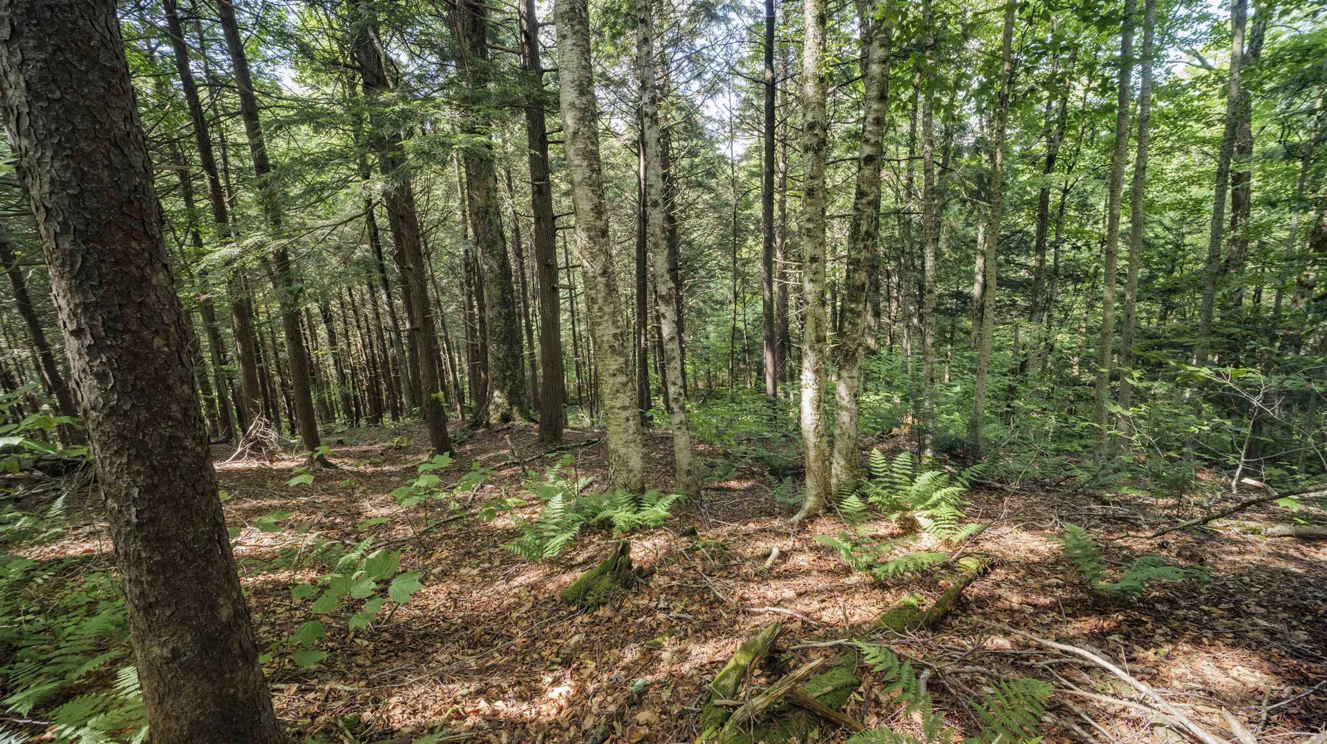 00 Ryder Pond Road Whitingham VT 05361