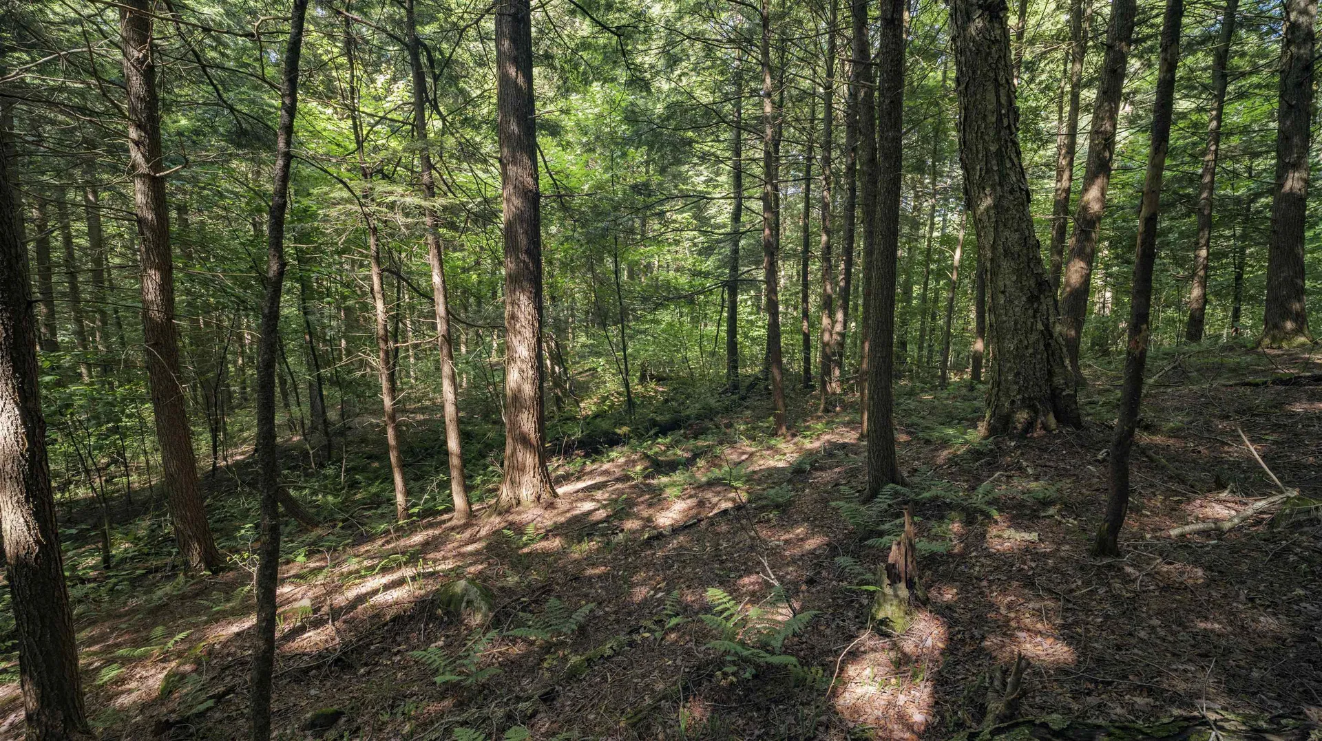 00 Ryder Pond Road Whitingham VT 05361