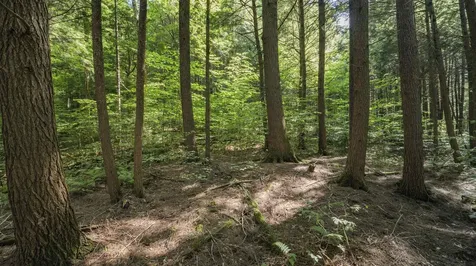 00 Ryder Pond Road Whitingham VT 05361
