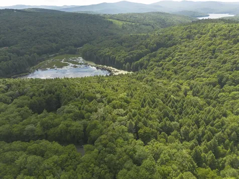 00 Ryder Pond Road Whitingham VT 05361