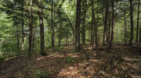 00 Ryder Pond Road Whitingham VT 05361