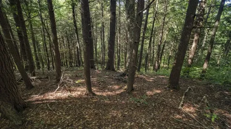 00 Ryder Pond Road Whitingham VT 05361
