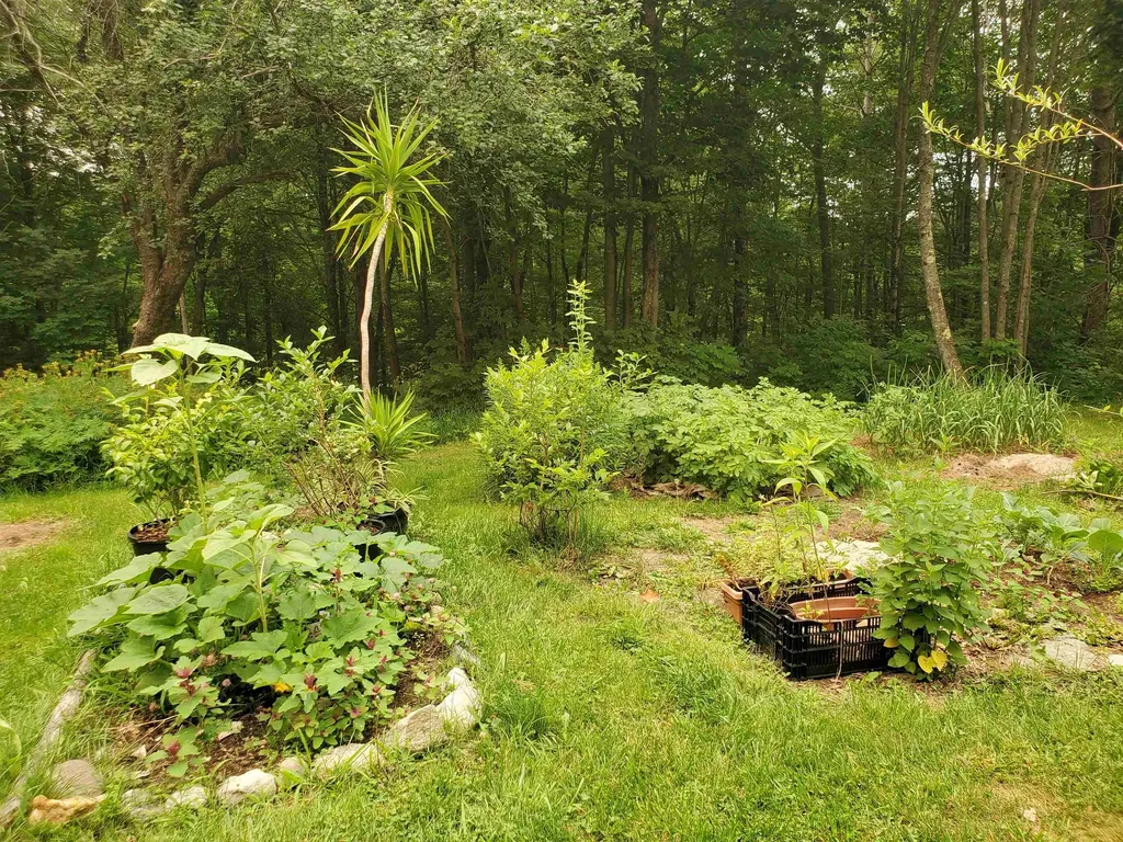 220 New Colony Road Orange NH 03741