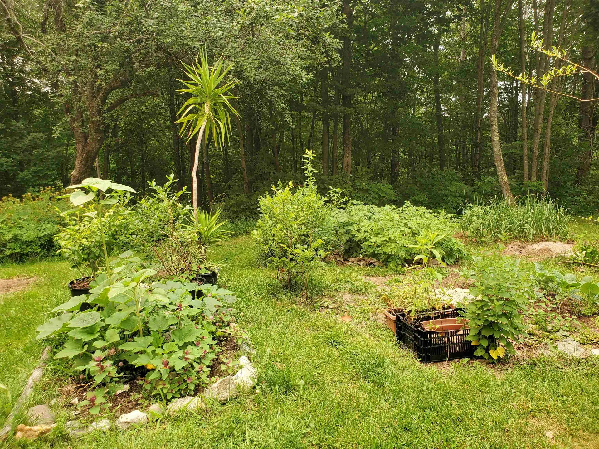 220 New Colony Road Orange NH 03741