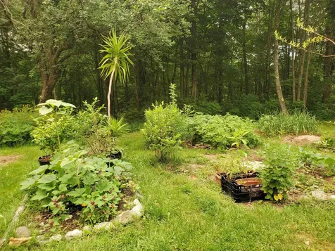 220 New Colony Road Orange NH 03741