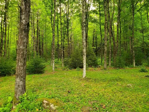 220 New Colony Road Orange NH 03741
