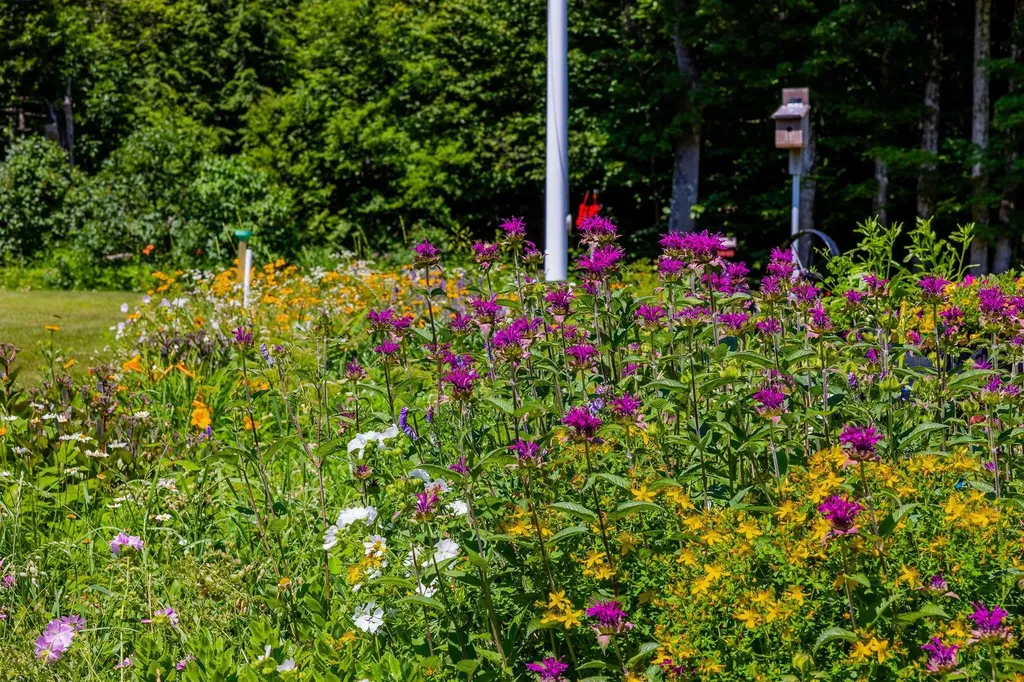817 Topsham Road Newbury VT 05051