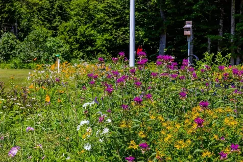 817 Topsham Road Newbury VT 05051