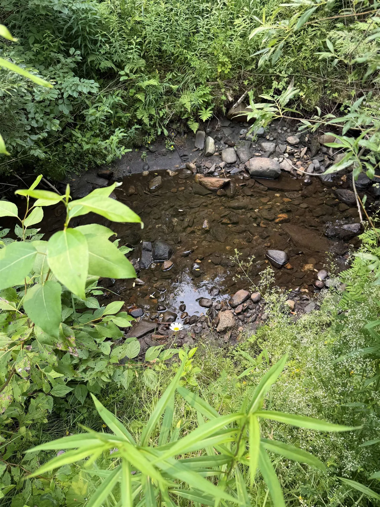 928 Holland Pond Road Holland VT 05830