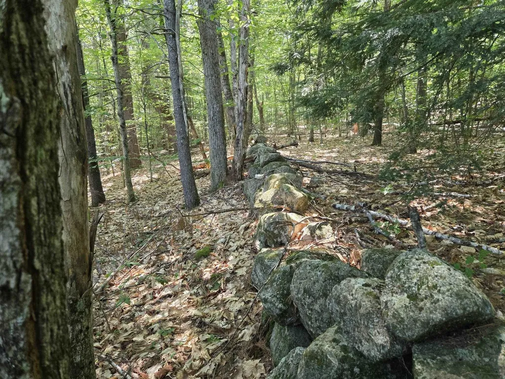 Lot 28 Davis Hill Road Conway NH 03813