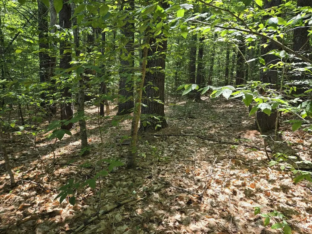 Lot 28 Davis Hill Road Conway NH 03813