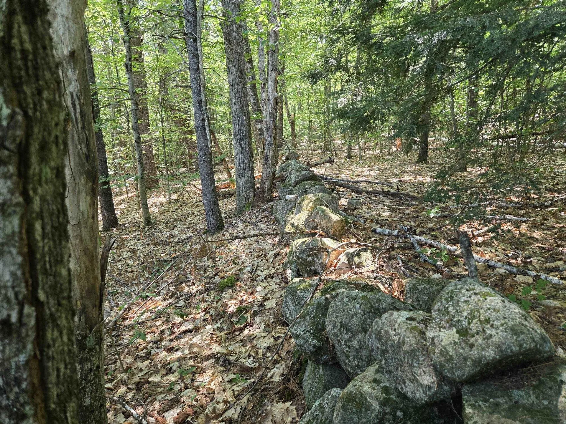 Lot 28 Davis Hill Road Conway NH 03813