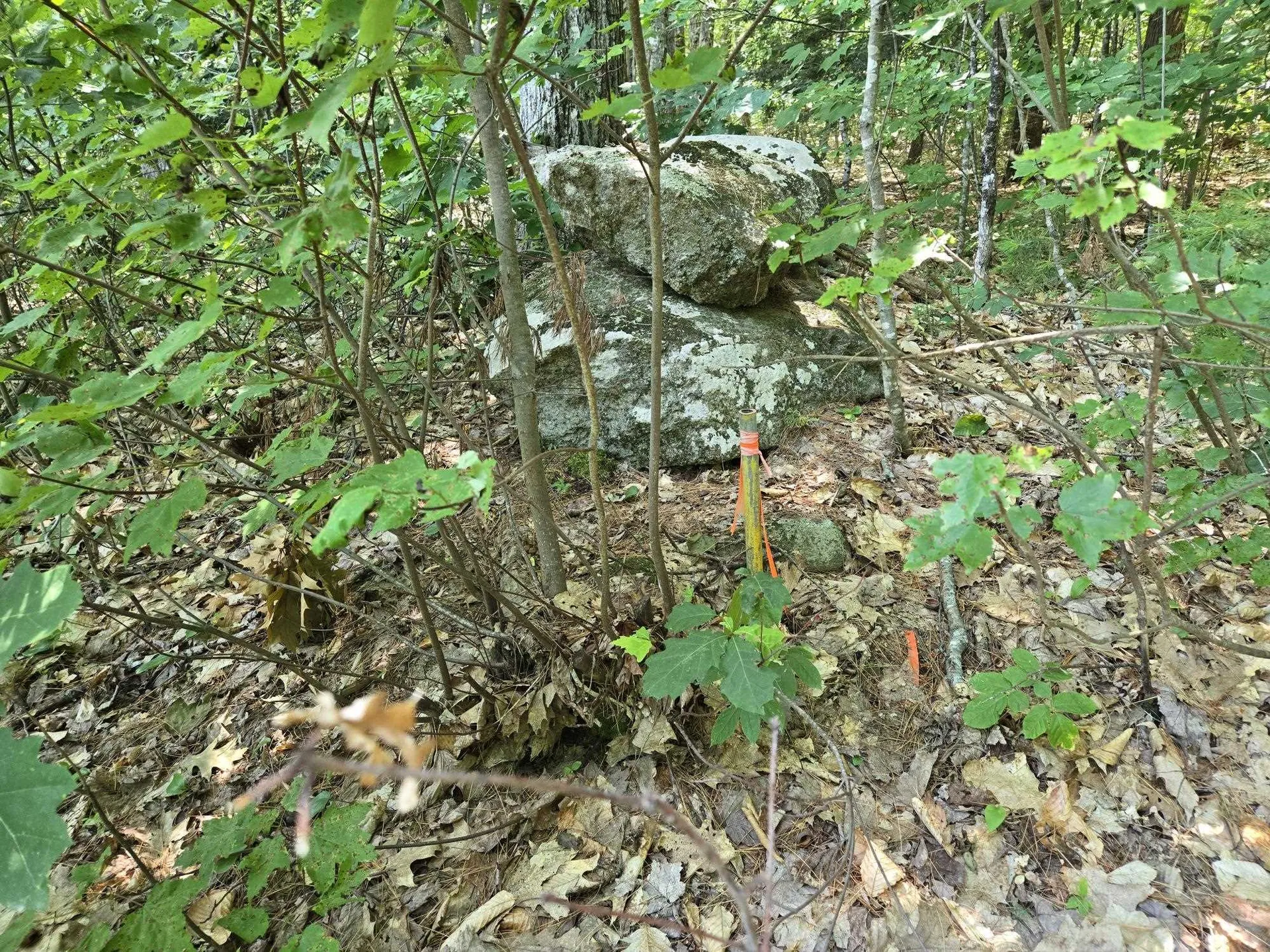 Lot 28 Davis Hill Road Conway NH 03813