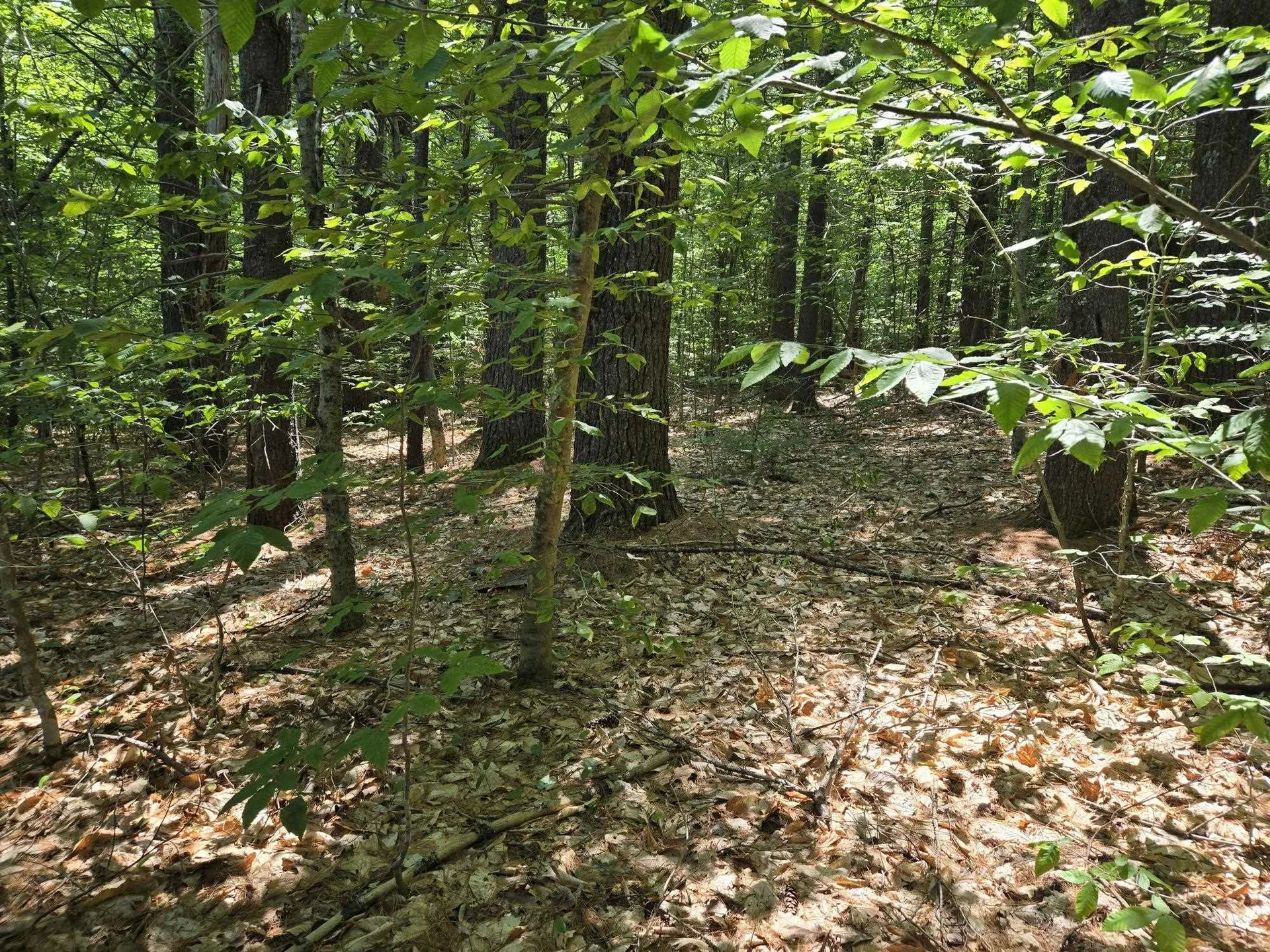 Lot 28 Davis Hill Road Conway NH 03813