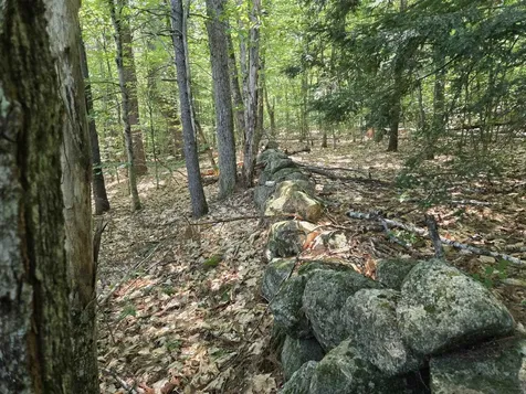 Lot 28 Davis Hill Road Conway NH 03813