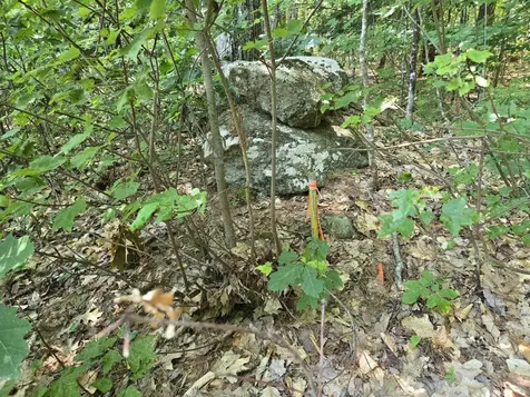 Lot 28 Davis Hill Road Conway NH 03813