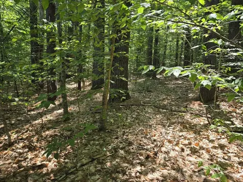 Lot 28 Davis Hill Road Conway NH 03813