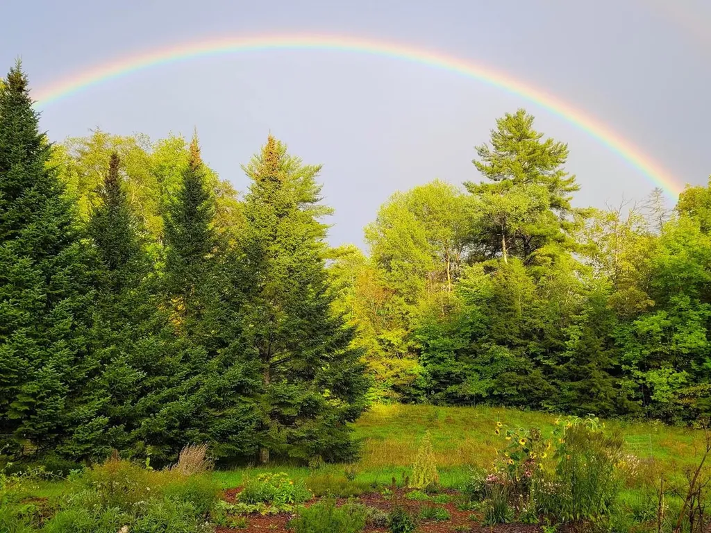 663 Guyette Road East Montpelier VT 05651