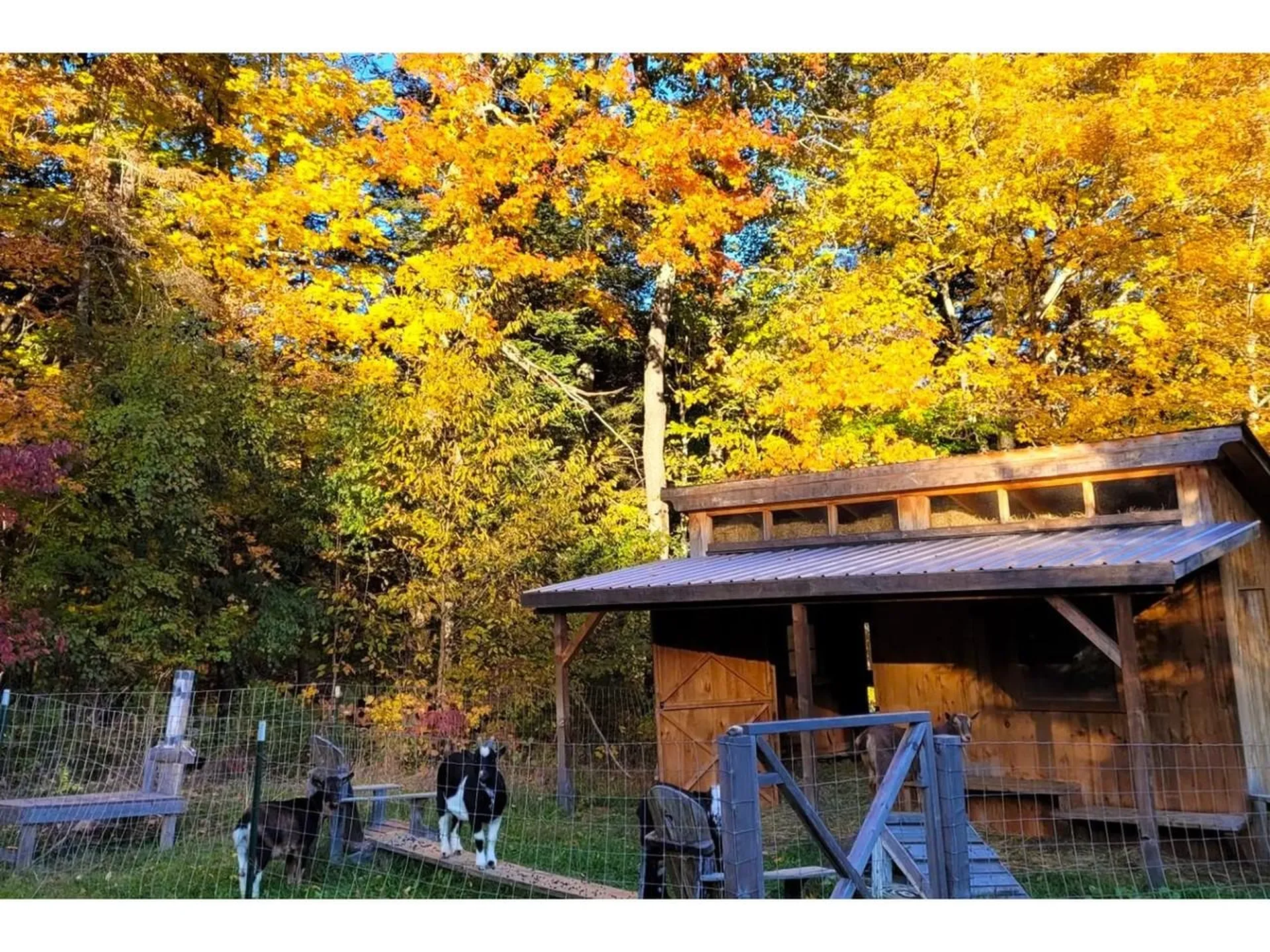 663 Guyette Road East Montpelier VT 05651