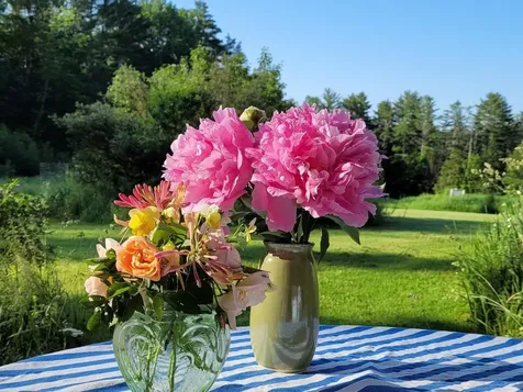 663 Guyette Road East Montpelier VT 05651