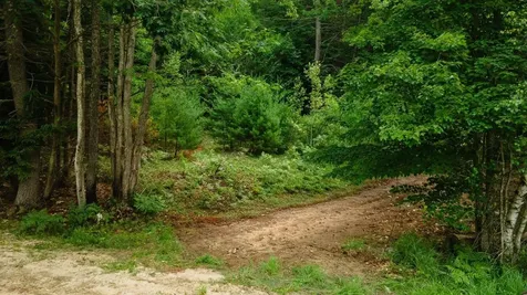 Lot 0 Pine Road New Ipswich NH 03071