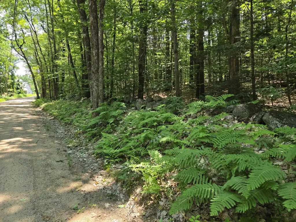 Lot 26 Davis Hill Road Conway NH 03813
