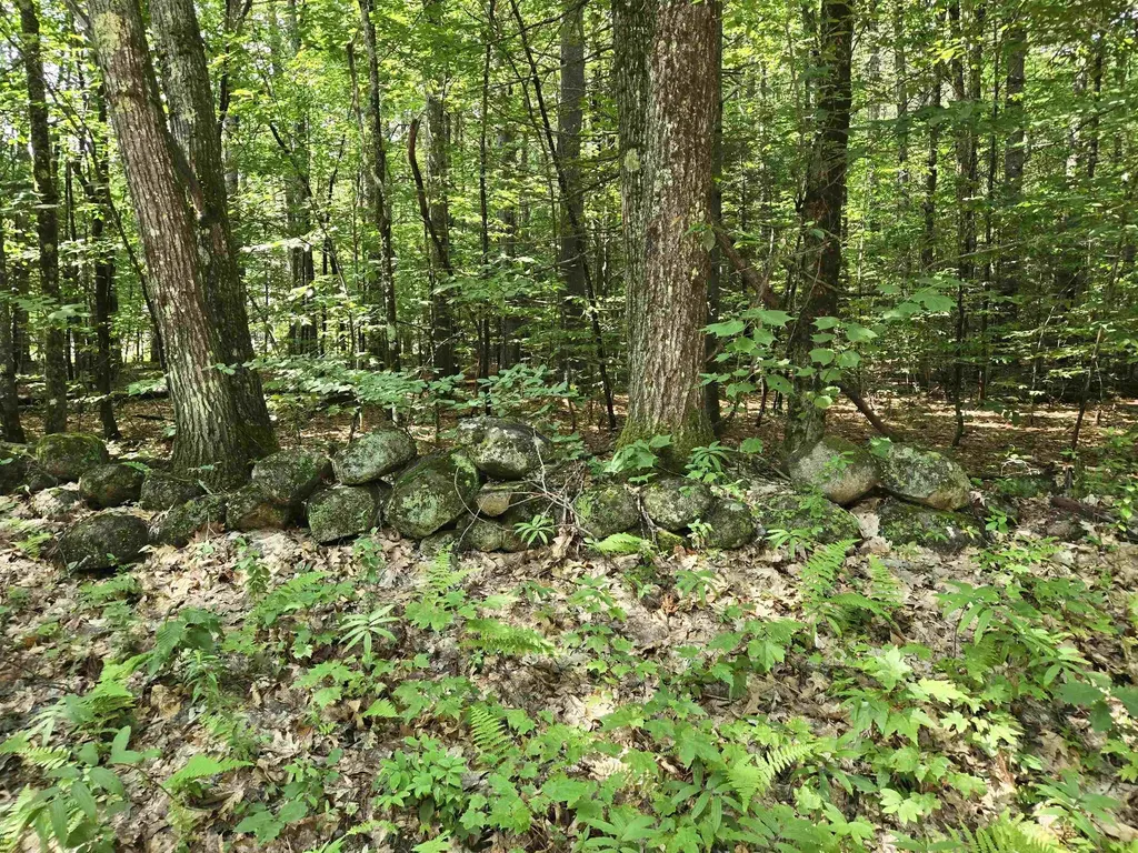 Lot 26 Davis Hill Road Conway NH 03813