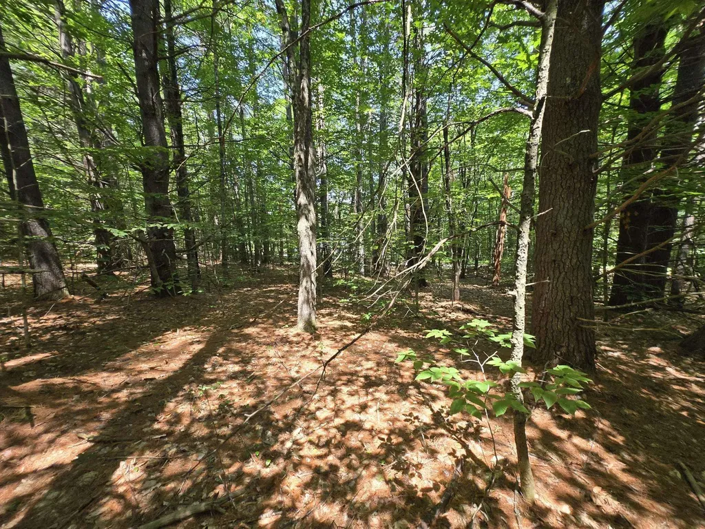 Lot 26 Davis Hill Road Conway NH 03813
