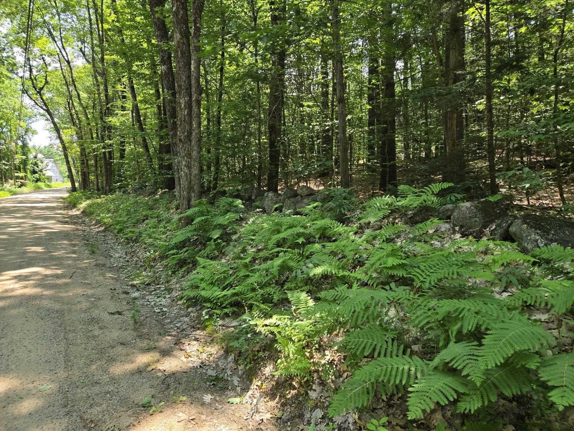 Lot 26 Davis Hill Road Conway NH 03813