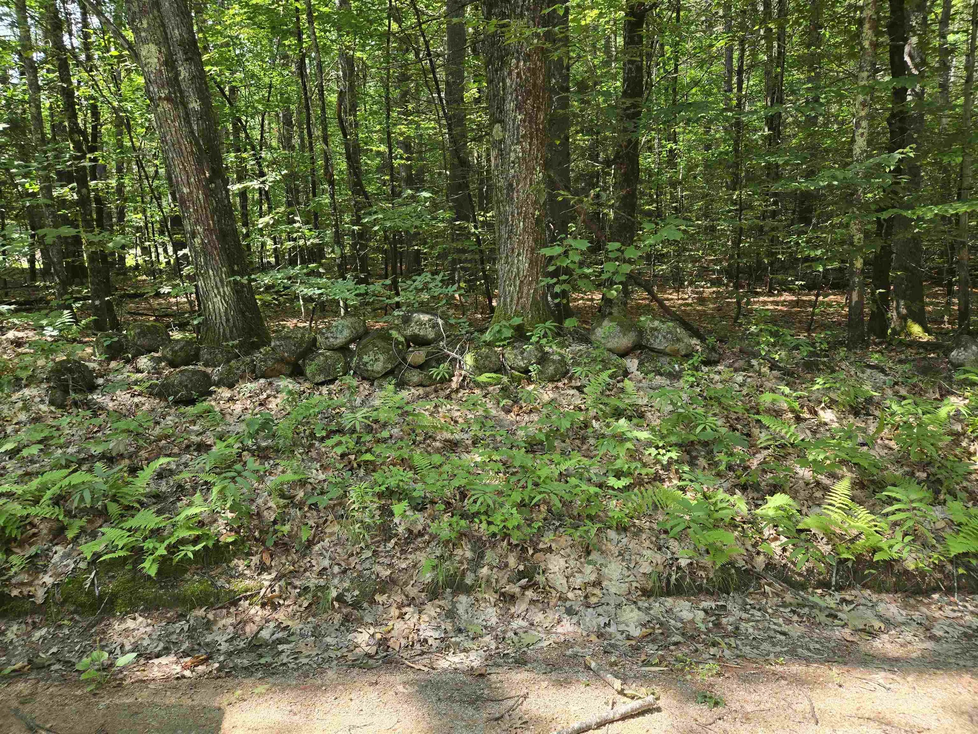 Lot 26 Davis Hill Road Conway NH 03813