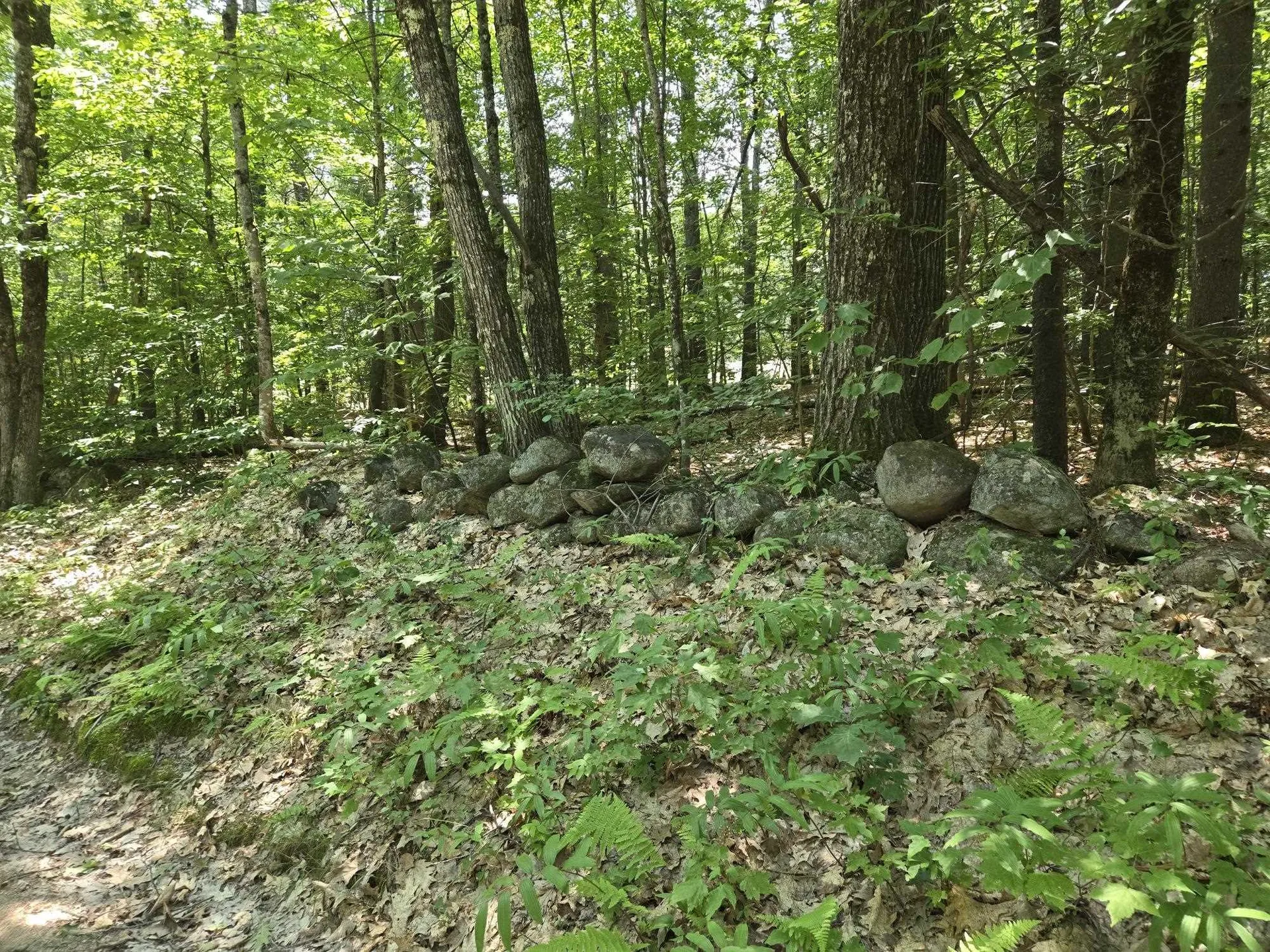 Lot 26 Davis Hill Road Conway NH 03813