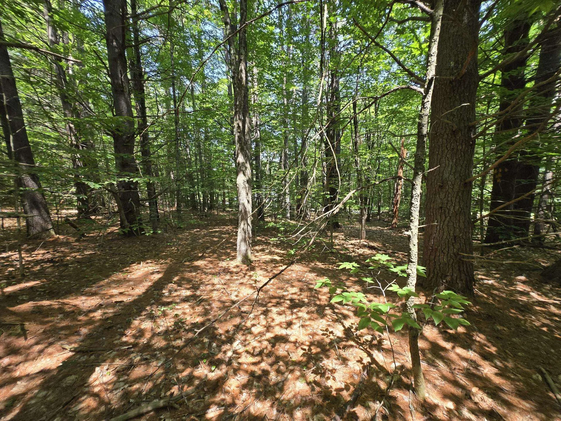 Lot 26 Davis Hill Road Conway NH 03813
