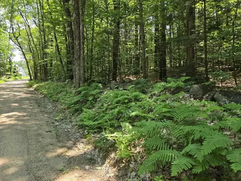 Lot 26 Davis Hill Road Conway NH 03813