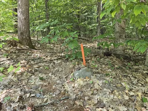 Lot 26 Davis Hill Road Conway NH 03813