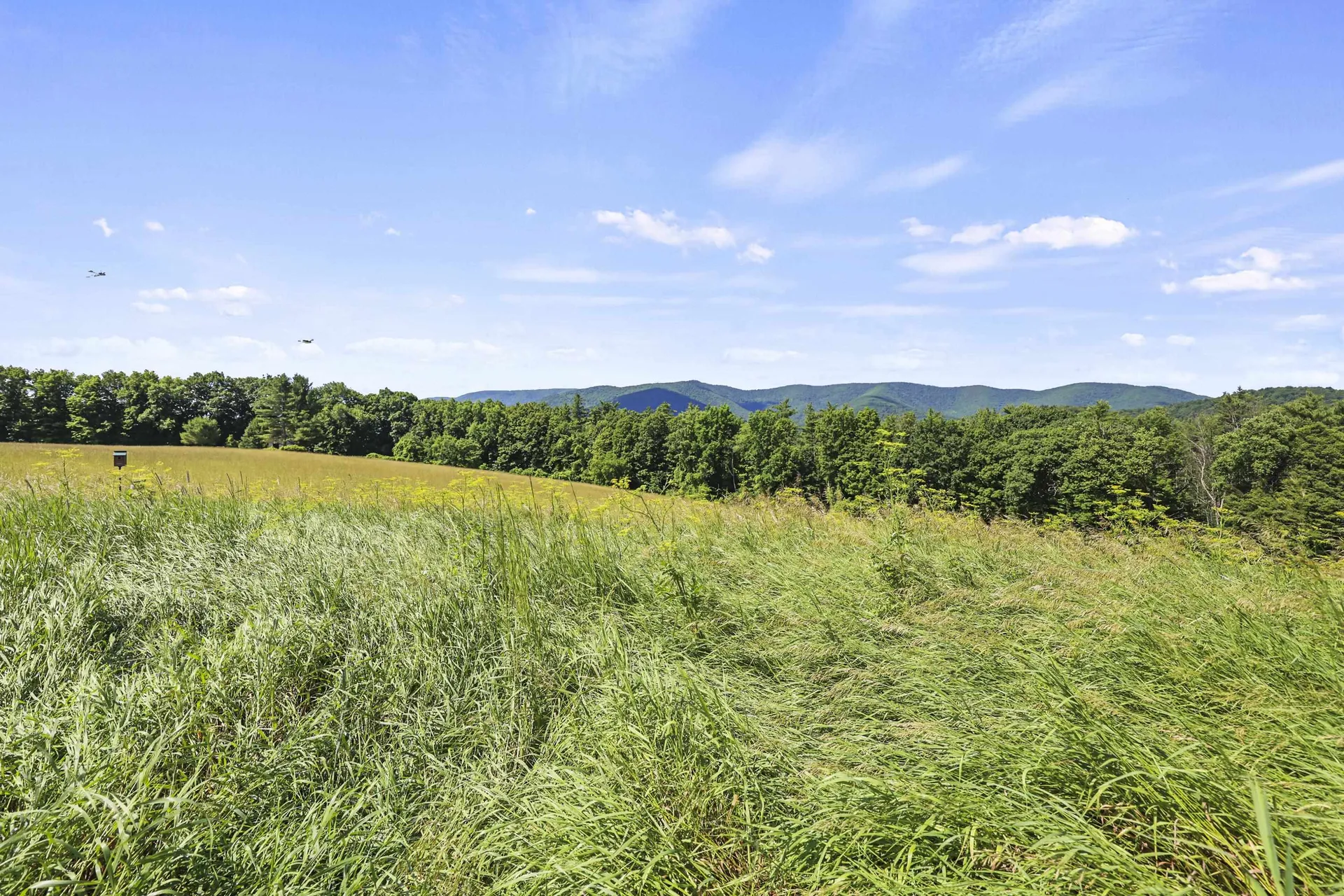 1996 North Pownal Road Pownal VT 05260