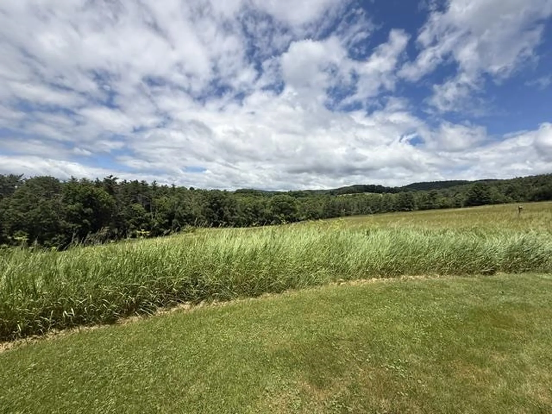 1996 North Pownal Road Pownal VT 05260