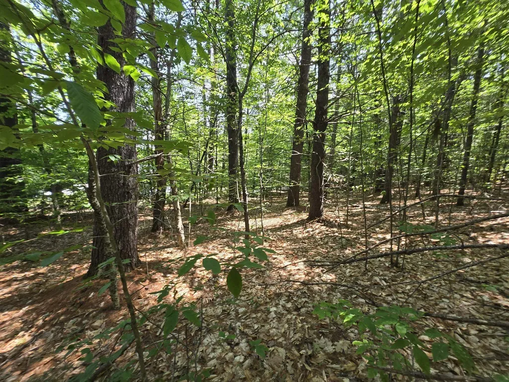 Lot 27 Davis Hill Road Conway NH 03813