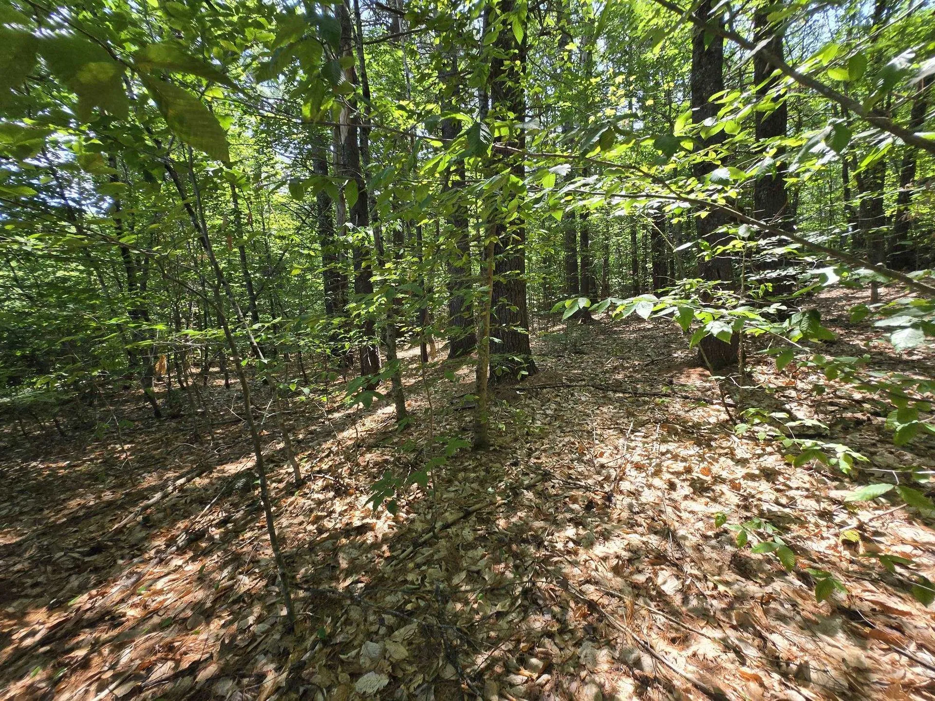 Lot 27 Davis Hill Road Conway NH 03813