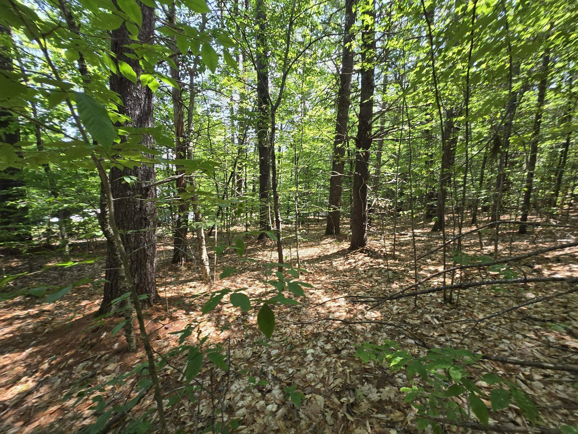 Lot 27 Davis Hill Road Conway NH 03813
