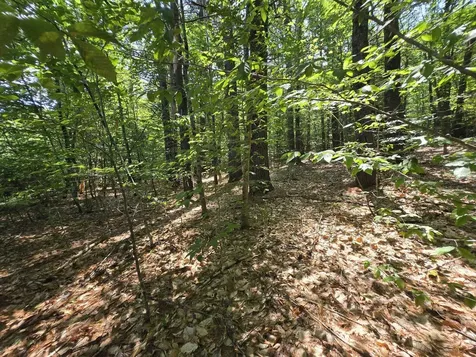 Lot 27 Davis Hill Road Conway NH 03813