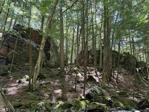 136 Village Road Langdon NH 03602