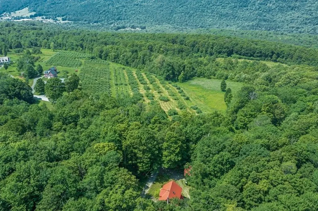 2734 Mad Tom Road Dorset VT 05253