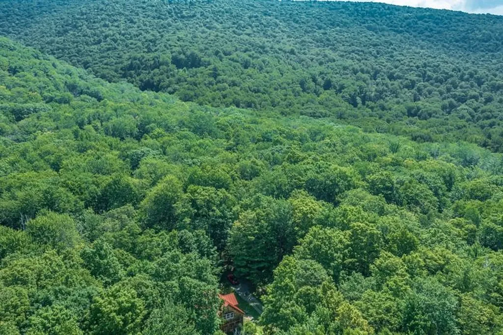 2734 Mad Tom Road Dorset VT 05253