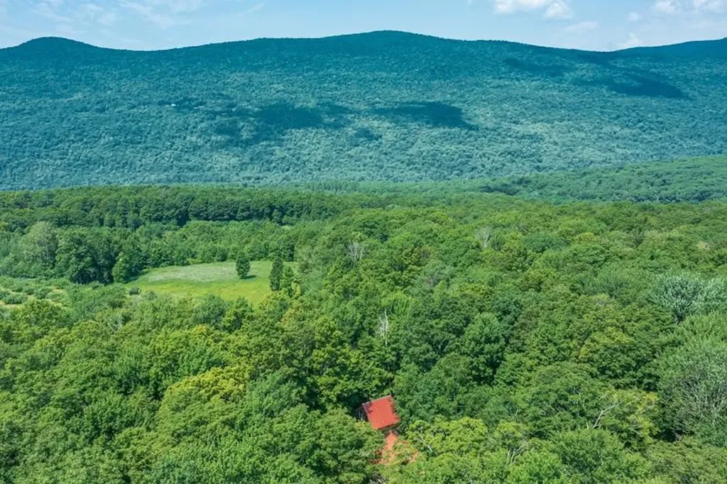 2734 Mad Tom Road Dorset VT 05253